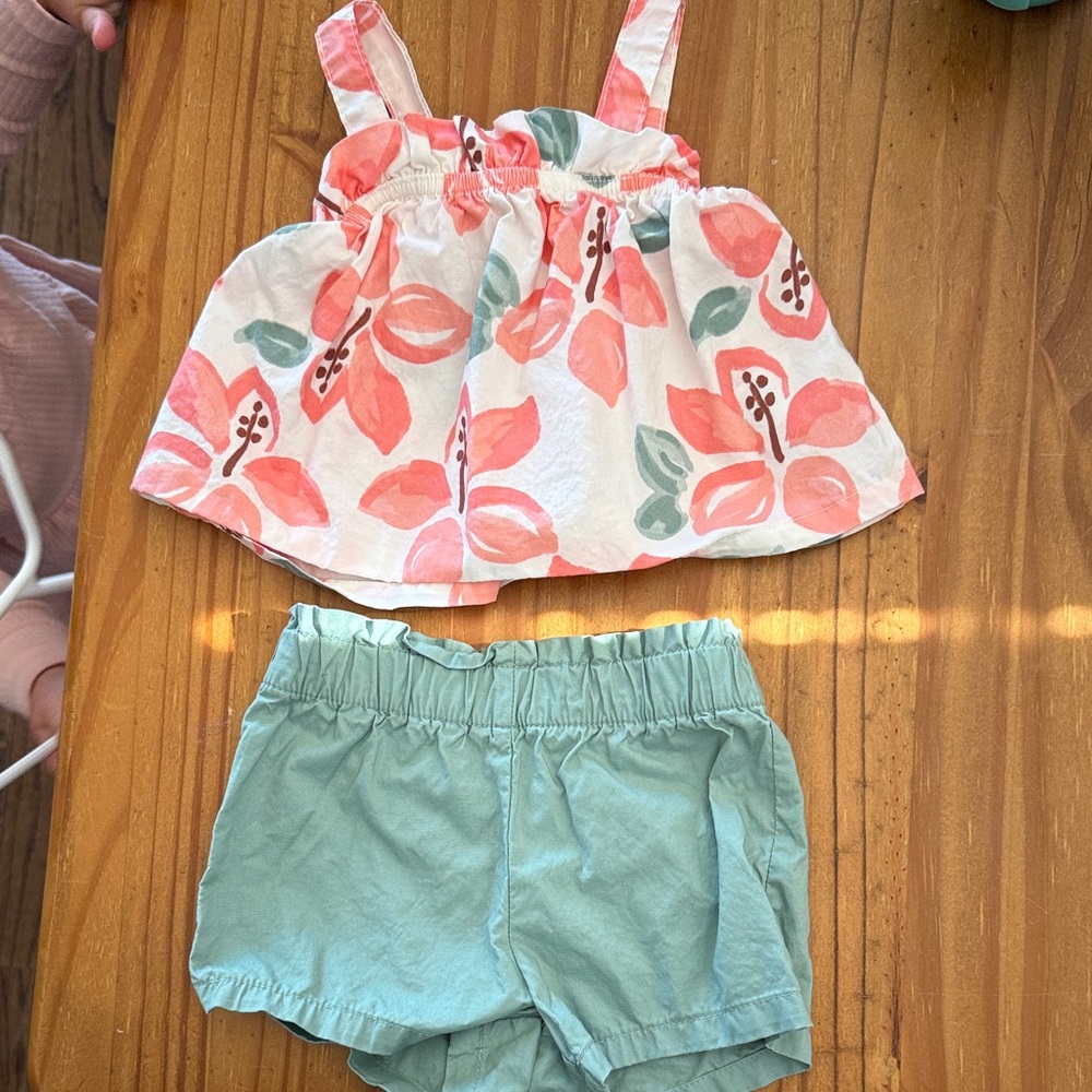 Carter's Pink and White Floral set 9 month